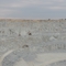 DSCN2195
